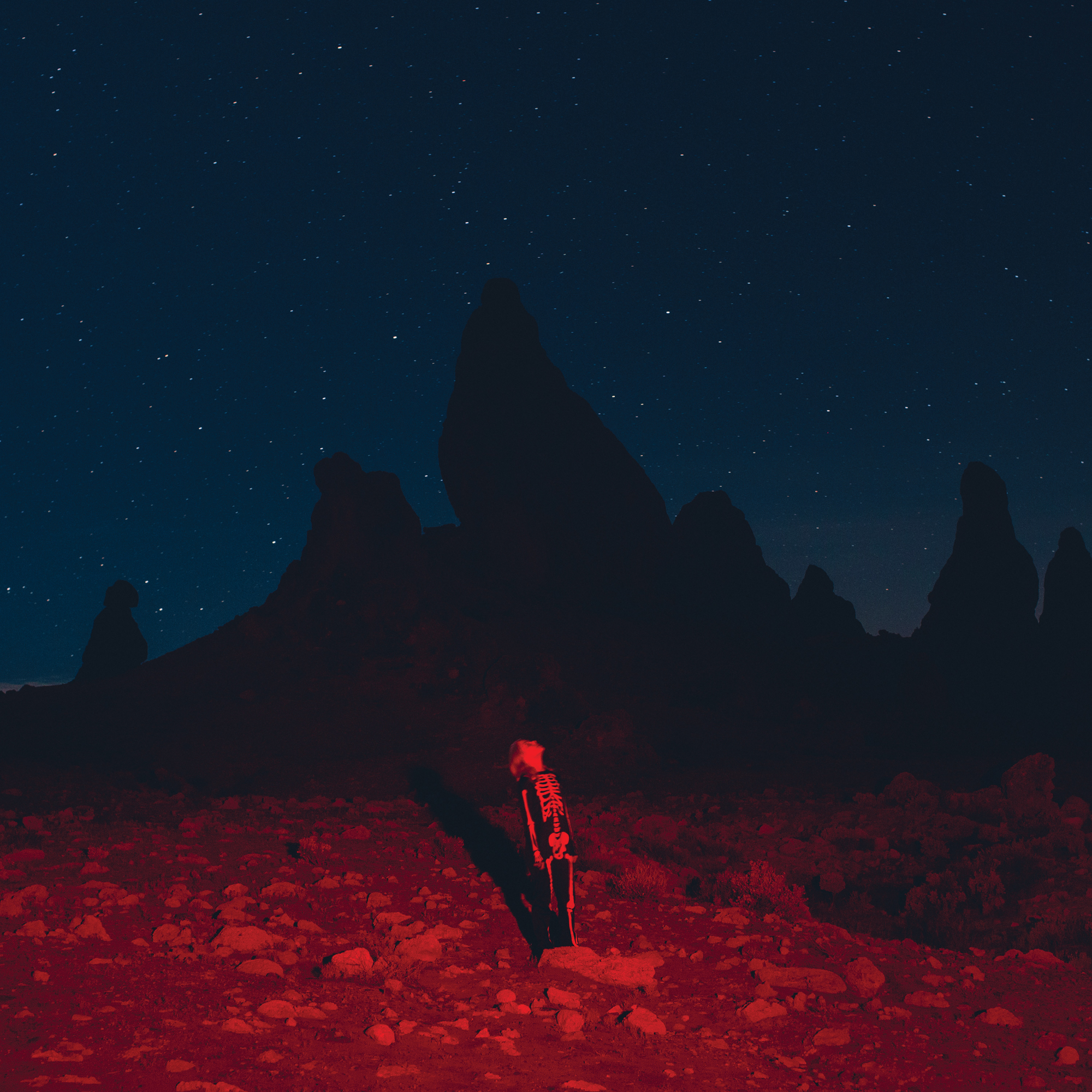 Phoebe Bridgers – Punisher album cover