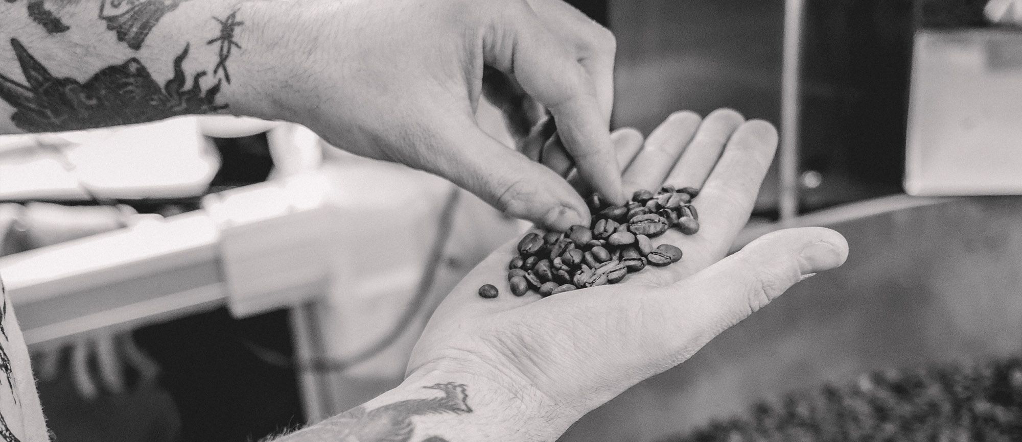 Behind the Beans: Dark Arts Coffee
