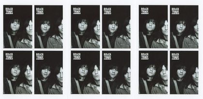 Shoplifting with The Lemon Twigs