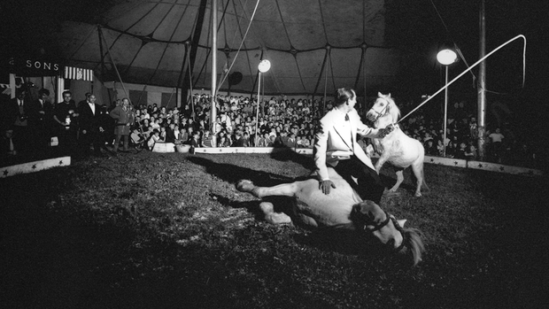 Albums of the Year 2019