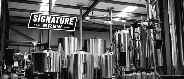 Rough Trade x Signature Brew