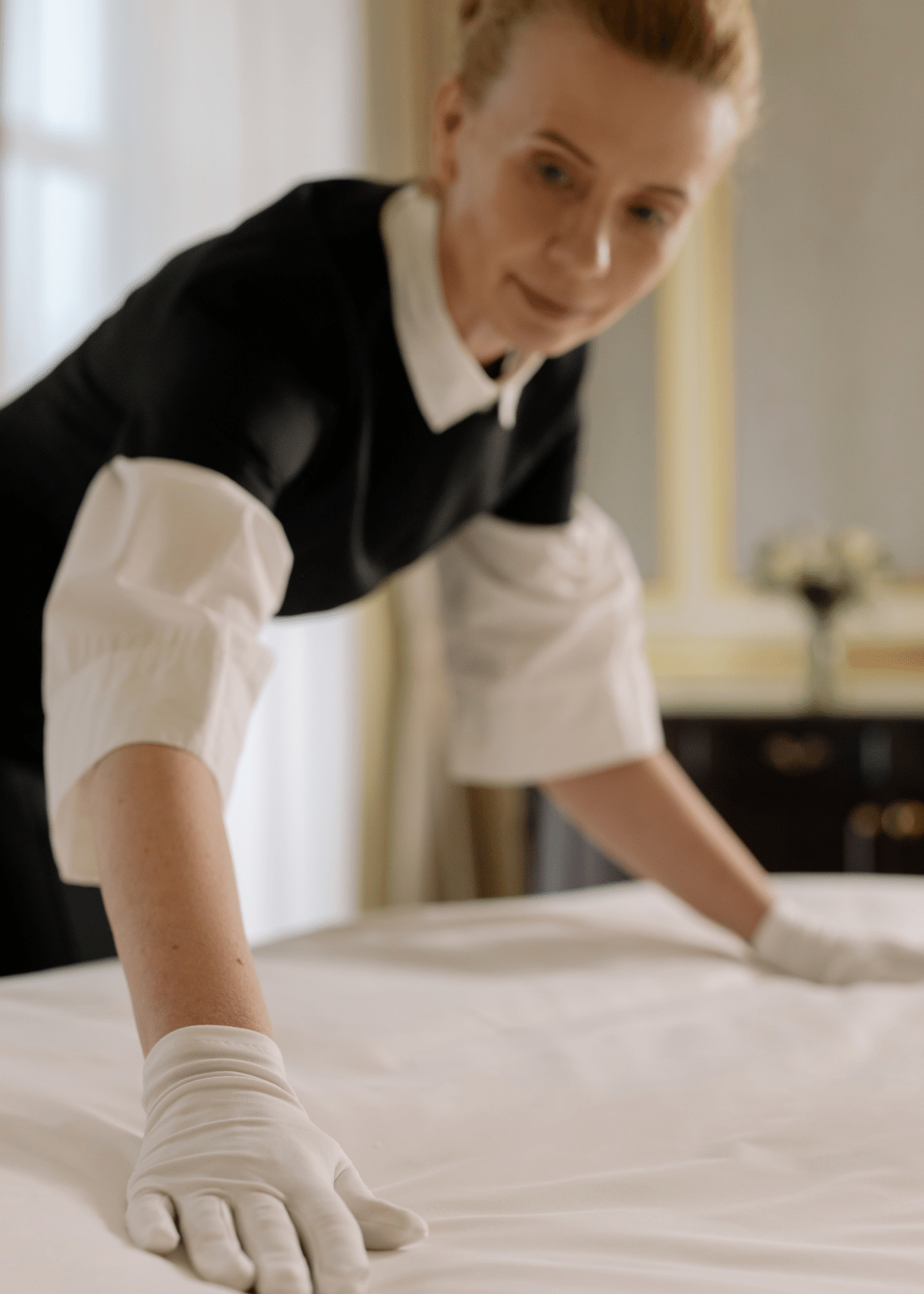 Best Steamer for Bedbugs