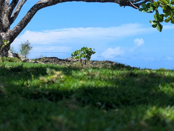 apr-july 2025: sorry guys love is real after all