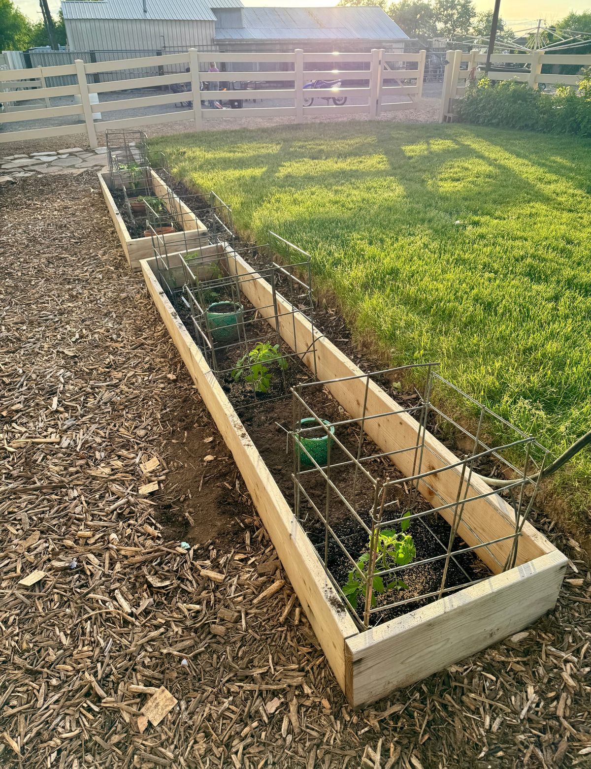 My 2026 Salsa & Snacking Garden: Tomatoes, Jalapeños, Peppers, Cucumbers & Herbs