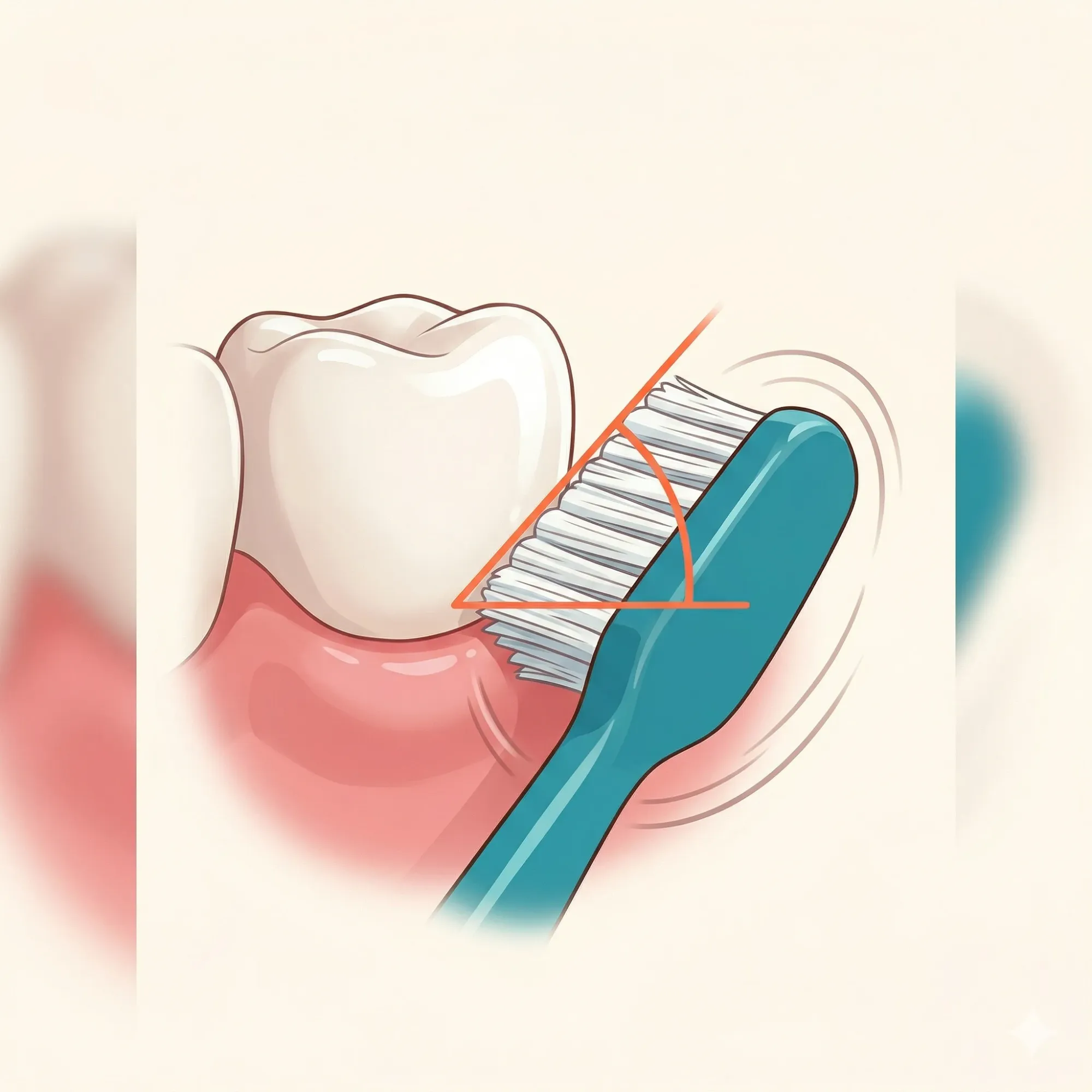 Diş fırçalama tekniği 45 derece açı