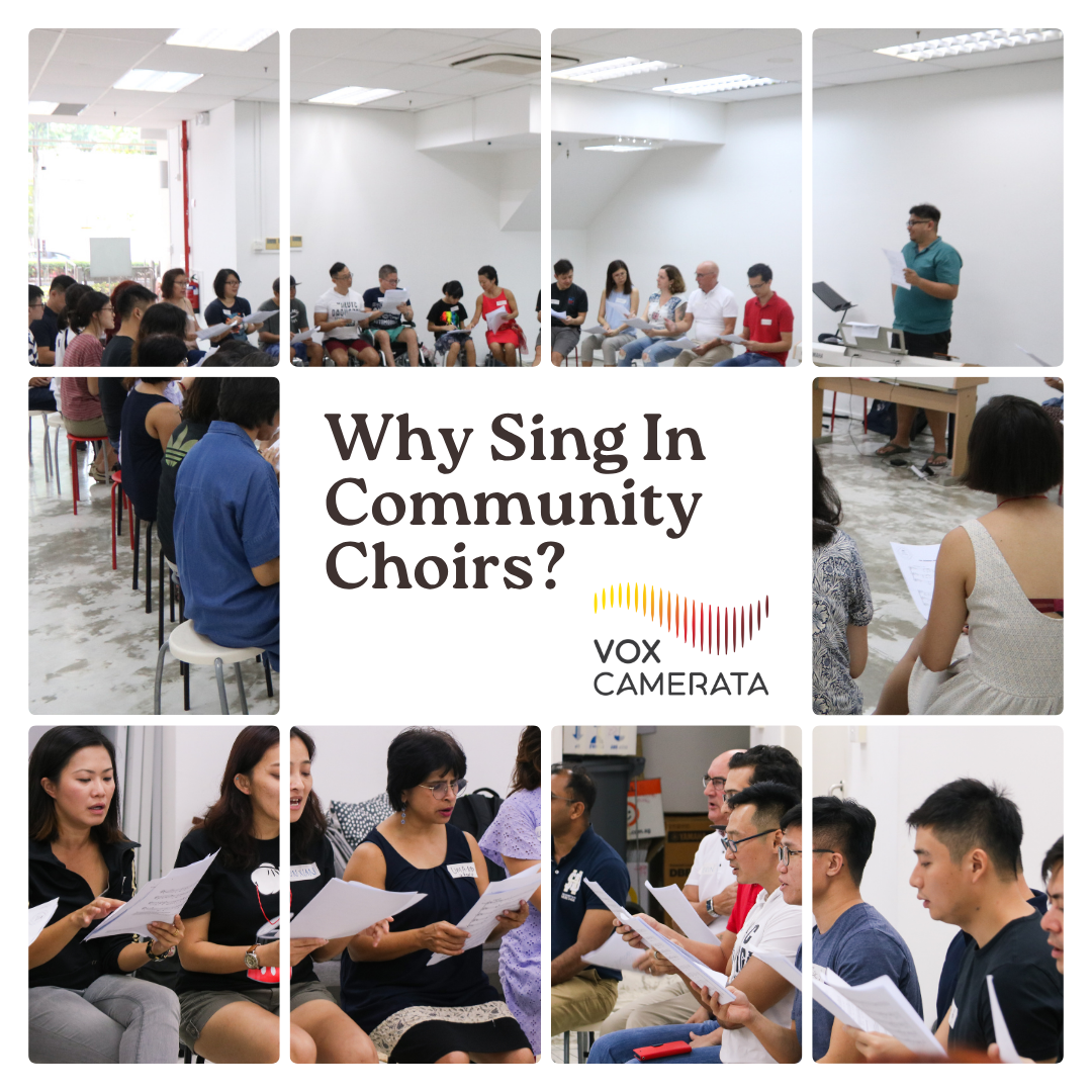 Why Sing In Community Choirs?