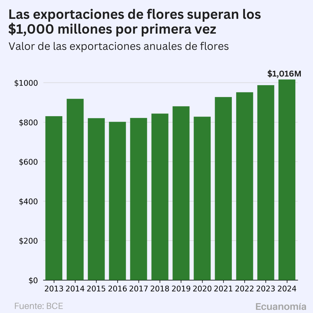 Exportaciones anuales de flores de Ecuador superan $1.000 millones en 2024