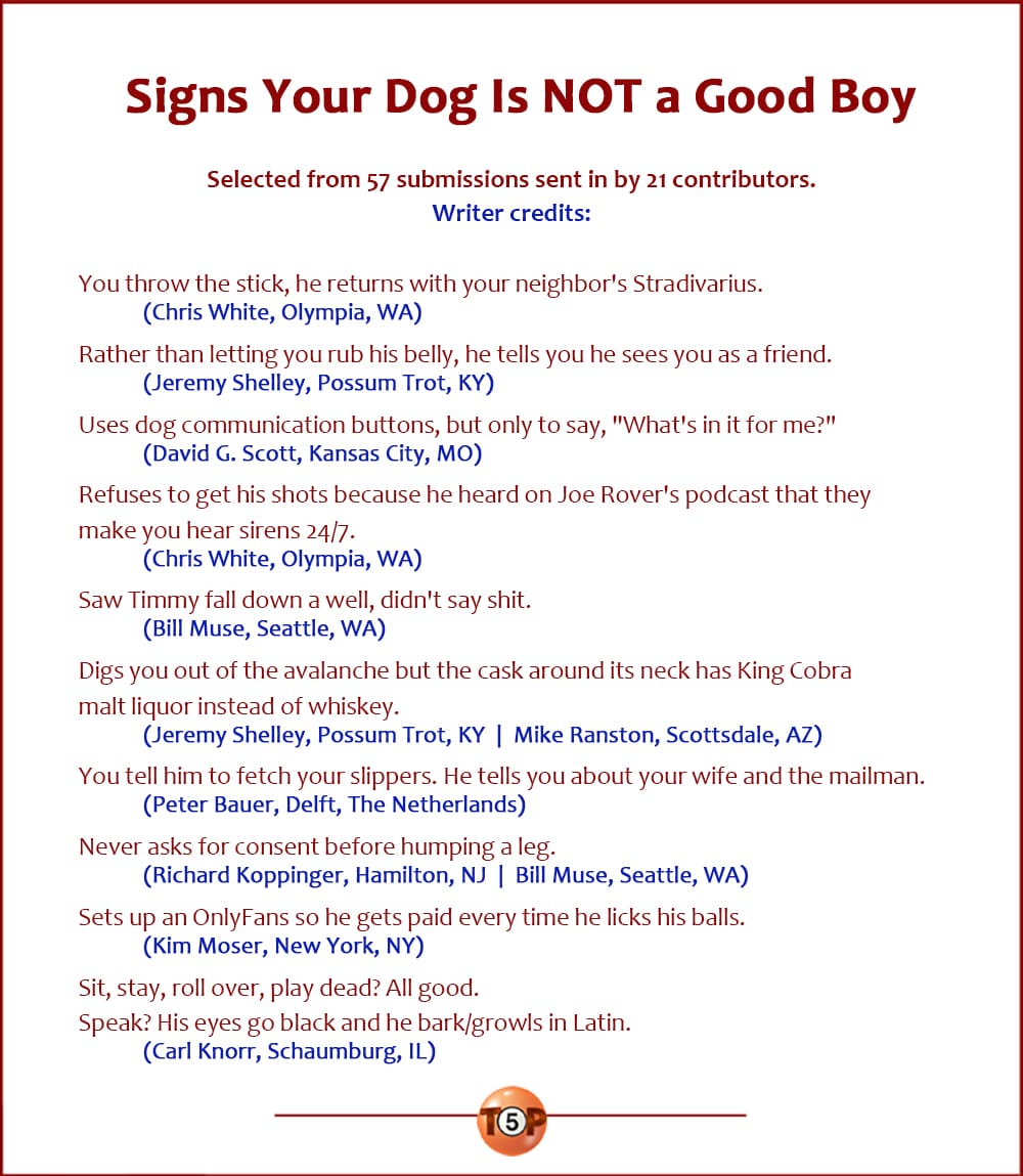 The Top 10 Signs Your Dog Is NOT a Good Boy  |   Selected from 57 submissions sent in by 21 contributors.   You throw the stick, he returns with your neighbor's Stradivarius. 	(Chris White, Olympia, WA)  Rather than letting you rub his belly, he tells you he sees you as a friend. 	(Jeremy Shelley, Possum Trot, KY)  Uses dog communication buttons, but only to say, "What's in it for me?" 	(David G. Scott, Kansas City, MO)  Refuses to get his shots because he heard on Joe Rover's podcast that they make you hear sirens 24/7. 	(Chris White, Olympia, WA)  Saw Timmy fall down a well, didn't say shit. 	(Bill Muse, Seattle, WA)  Digs you out of the avalanche but the cask around its neck has King Cobra malt liquor instead of whiskey. 	(Jeremy Shelley, Possum Trot, KY  |  Mike Ranston, Scottsdale, AZ)  You tell him to fetch your slippers. He tells you about your wife and the mailman. 	(Peter Bauer, Delft, The Netherlands)  Never asks for consent before humping a leg. 	(Richard Koppinger, Hamilton, NJ  |  Bill Muse, Seattle, WA)  Sets up an OnlyFans so he gets paid every time he licks his balls. 	(Kim Moser, New York, NY)  Sit, stay, roll over, play dead? All good. Speak? His eyes go black and he bark/growls in Latin. 	(Carl Knorr, Schaumburg, IL)