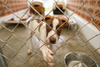 New bill to create first-ever federal grant program to assist animal shelters