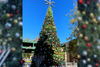 Downtown tree lighting ceremony, Friday, Nov. 17