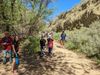 Volunteer-led transformation revitalizes San Timoteo Nature Sanctuary