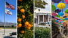 Invest in Redlands: Support Independent Local News