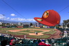 Redlands Night Out returns June 14 with baseball, discounted tickets and free Redlands Pickers hats