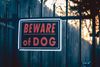Redlands updates rules for dangerous and vicious dogs