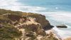Choose short or long hikes in Torrey Pines trail system