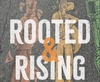 Redlands adopts first-ever Arts and Culture Master Plan