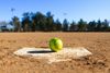 CBL champion Yucaipa joins REV and Beaumont in CIF softball playoffs