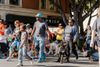 Redlands Chamber Dog Jog returns Oct. 5 with costumes, adoptable dogs and more