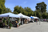 What's next for the Redlands Downtown Morning Market? City narrows options