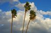High wind warning issued for Redlands through Saturday