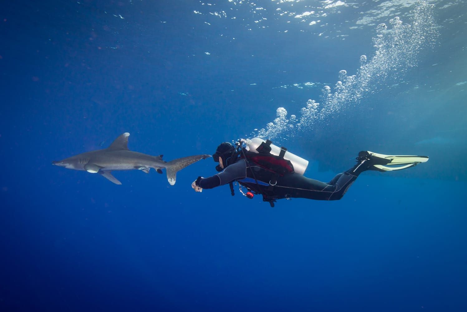 Békefenntartóból, búvárvezető