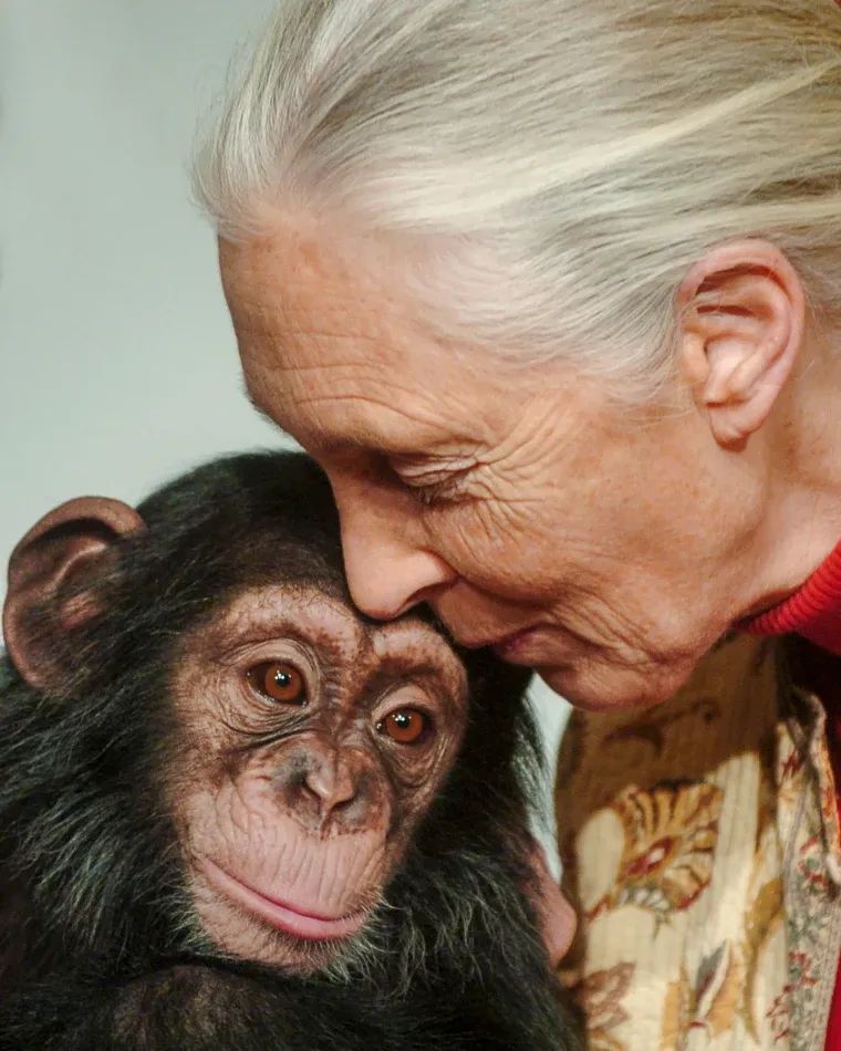 Jane Goodall, a remény követe (1934-2025)