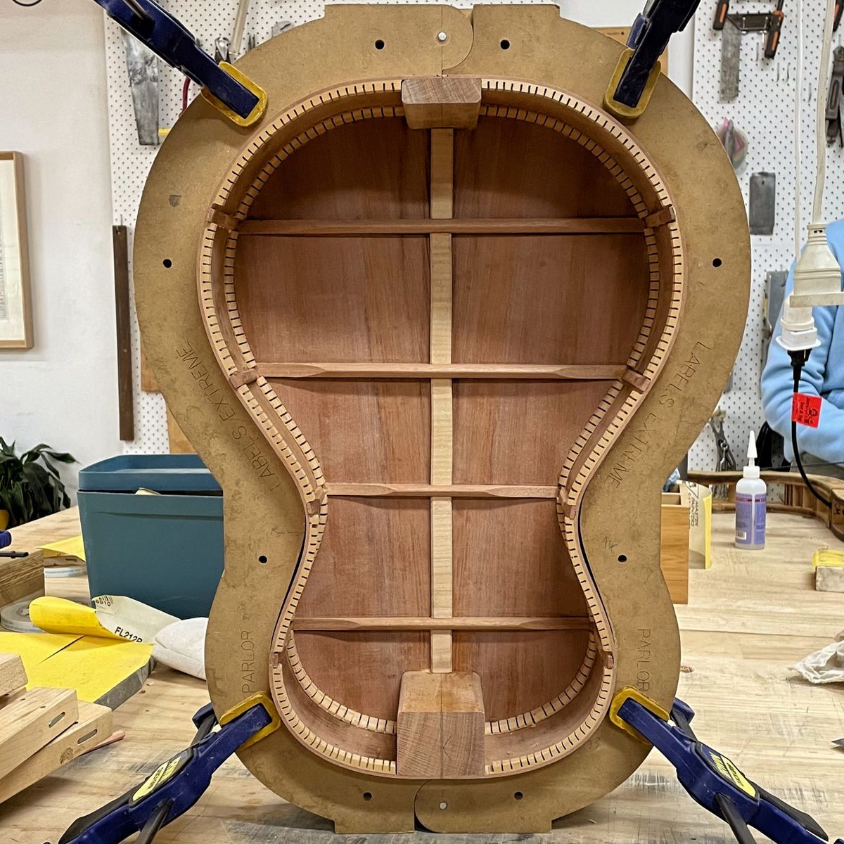The Accidental Luthier