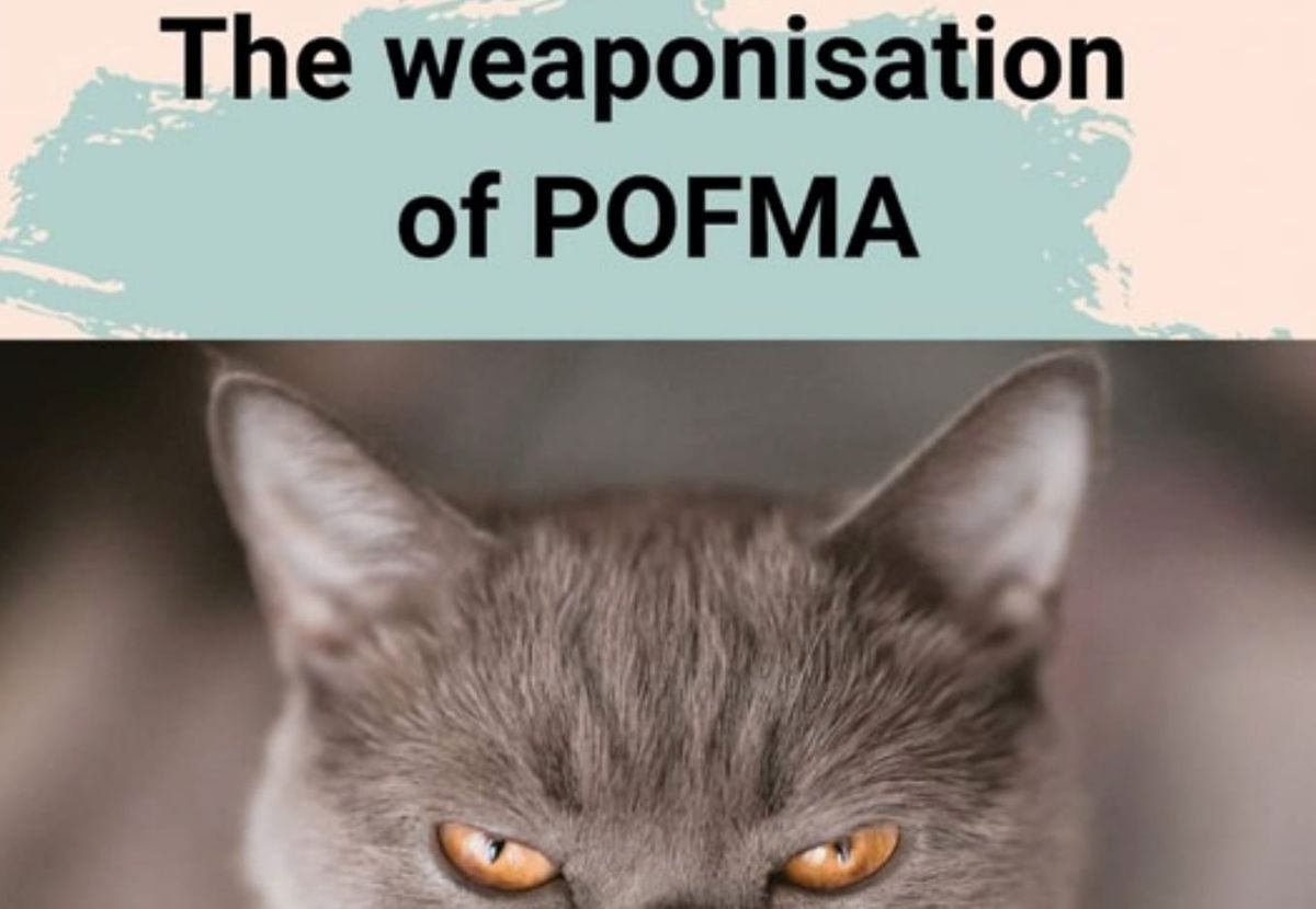 Networks and minefields: When social media presents both opportunity and risk