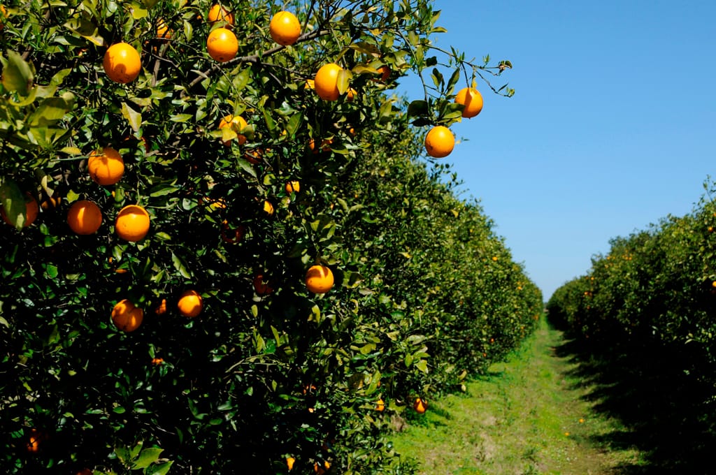 Why Ether May Not Be a Security