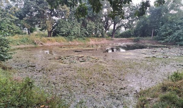 ग्राम प्रधानों को 'बंपर' मौका, गाँव में अब भी...बना सकते हैं 'अमृत सरोवर'...