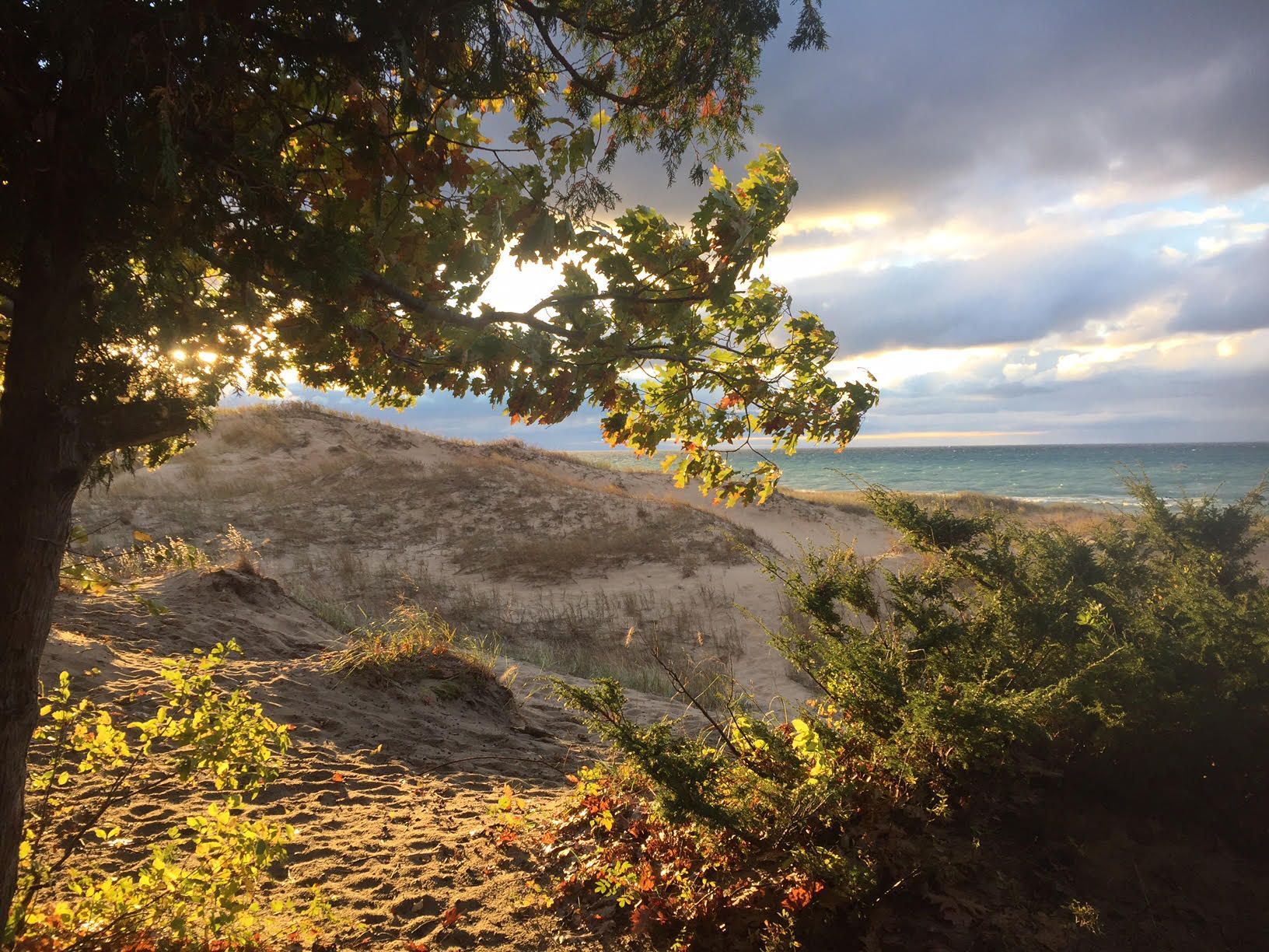 Alice Dreger's Newsletter: In Search of Open Water