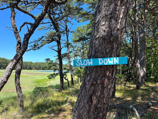 Slow Down