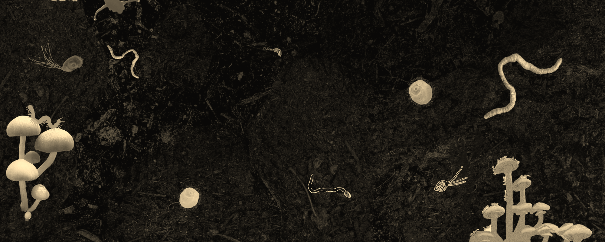 the radical compost heap