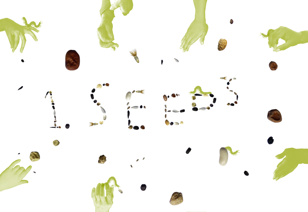 Image description in caption.