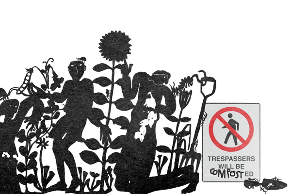The Seeds We Choose to Sow