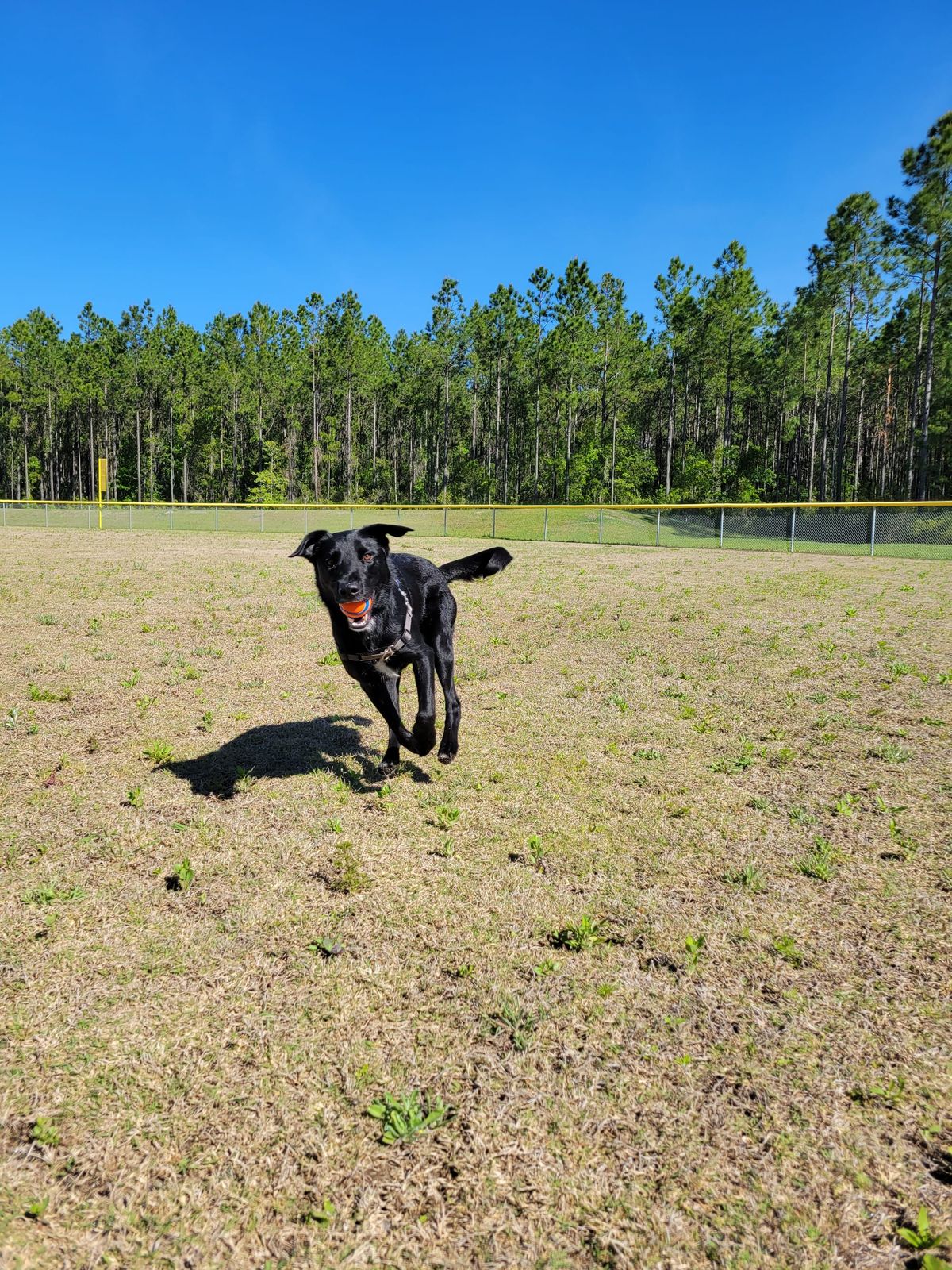 When Helping Hinders: The Leadership Trap of Over-Involvement