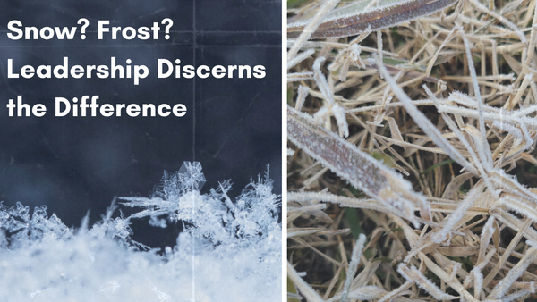 Frost & Thyme: Growing Intentional Leadership