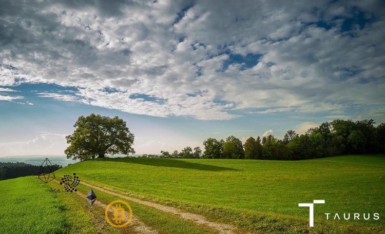 Digital Assets and Sustainable Development