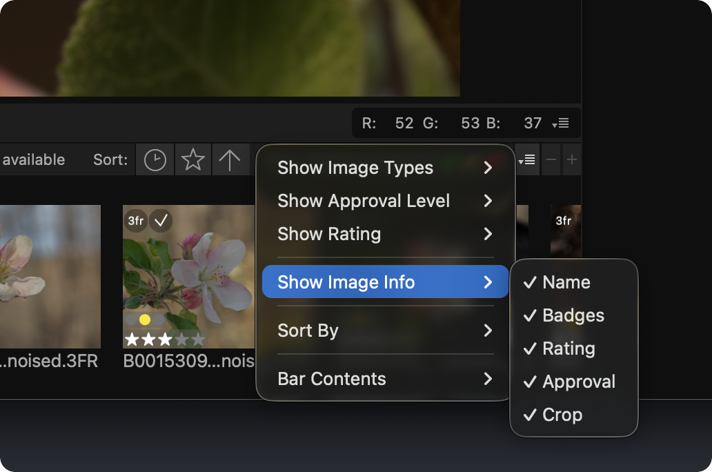 Phocus thumbnail browser options menu in landscape layout mode