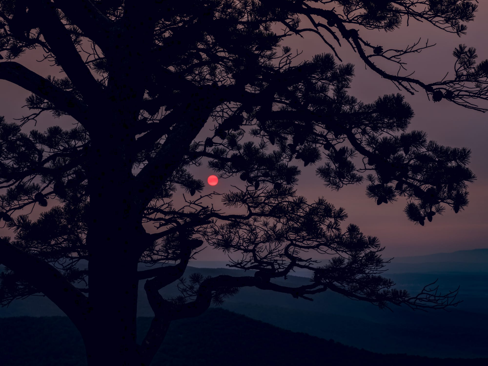 An example of a low light image using the XCD 90V, at ISO 400, F/9.5. 1/160 s, handheld