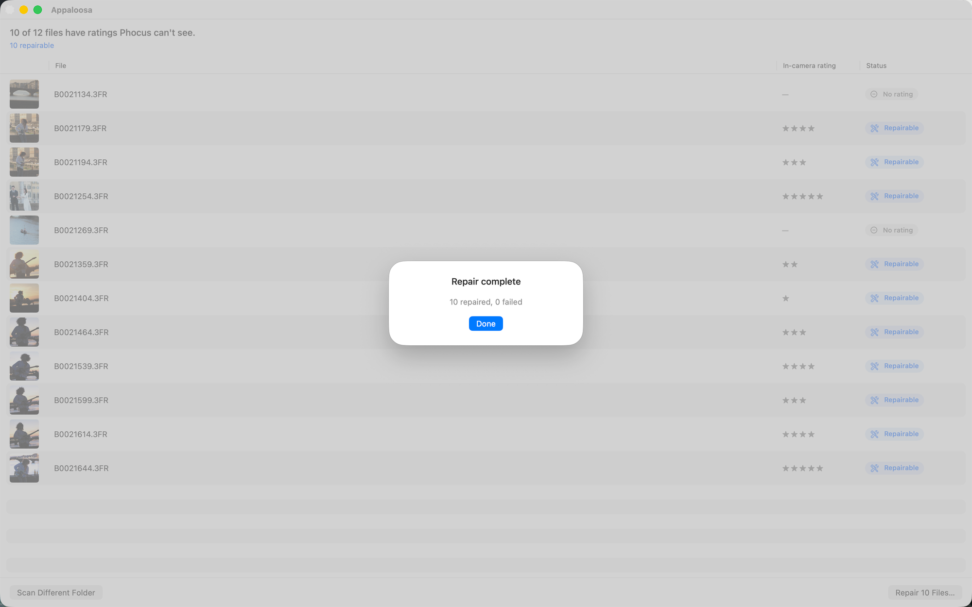 Appaloosa repair complete dialog: 10 repaired, 0 failed