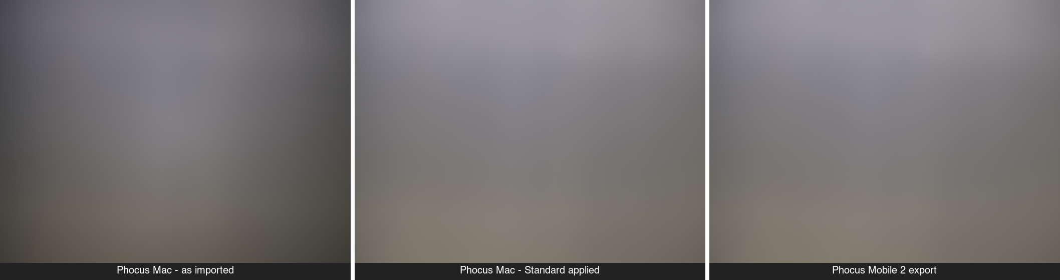 Same 3FR rendered three ways: Phocus Mac as imported, Phocus Mac with Standard applied, Phocus Mobile 2