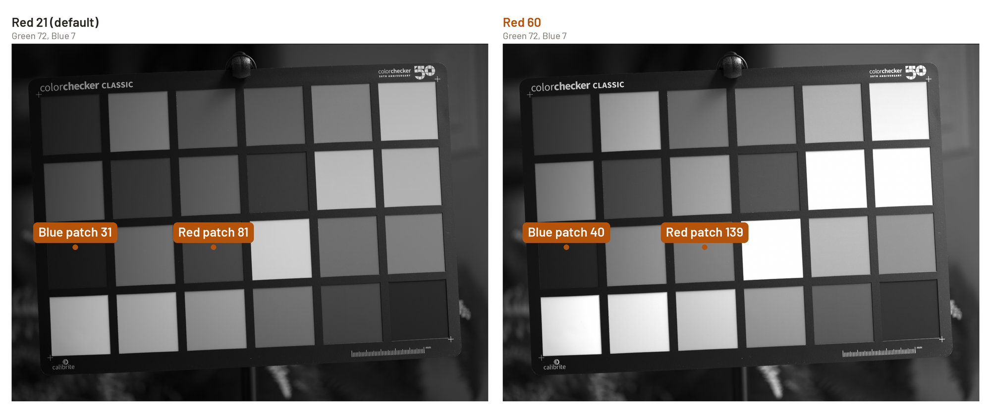 ColorChecker Classic frame with Grayscale on, at the default Red of 21 and at Red 60, with Phocus's readouts called out: red patch 81 to 139, blue patch 31 to 40.