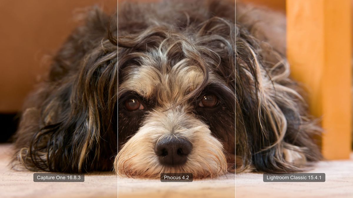 One X2D II dog photo in three bands: Capture One, Phocus, and Lightroom renders, each a different brightness