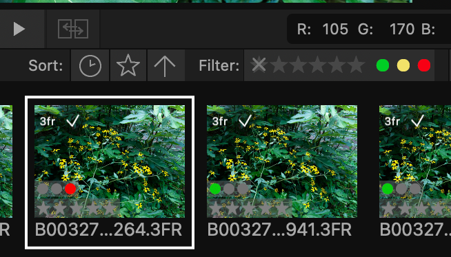 Phocus Quietly Fixed a Bug I Reported 231 Days Ago