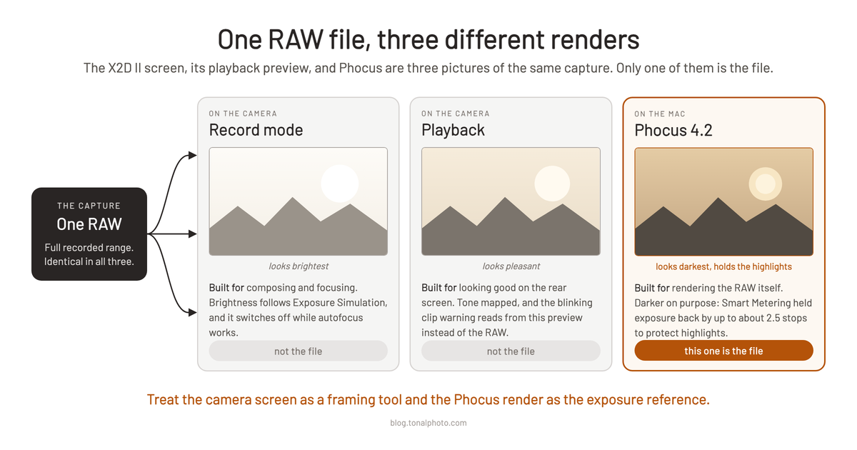 Diagram: one RAW file, three different renders on the X2D II and in Phocus 4.2