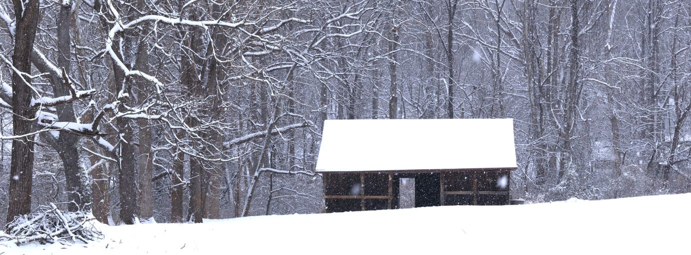Old shed in snow with trees