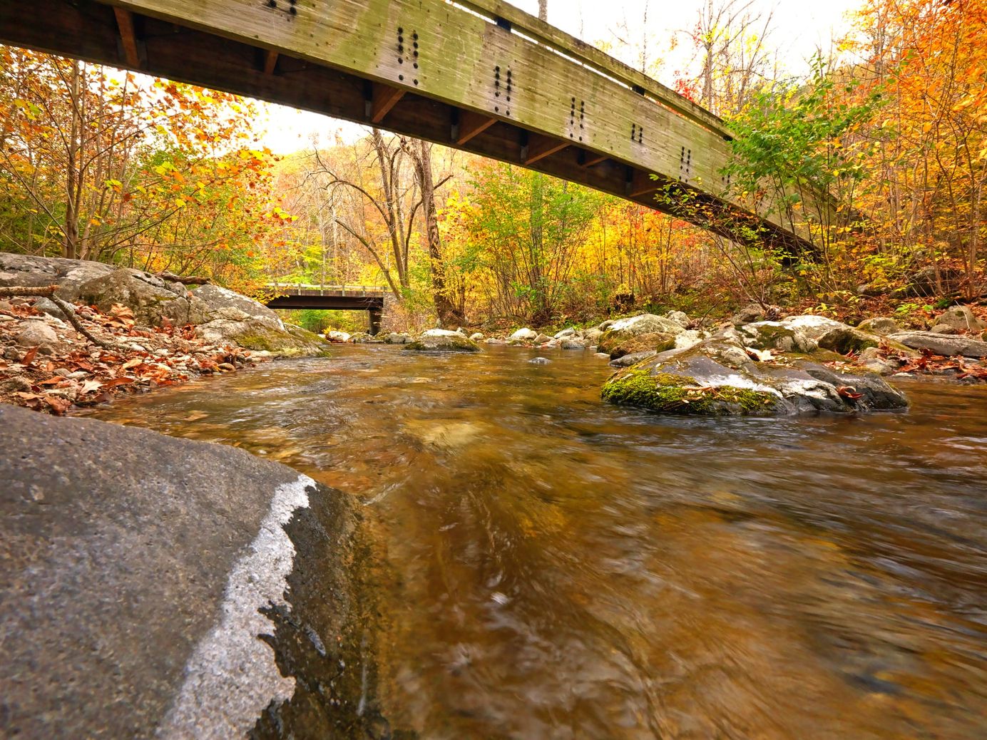 Bridges over the South Fork Tye River by Konrad Michels of Tonal Photo