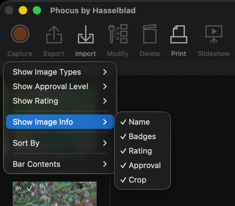 Image showing Phocus for Mac Thumbnails options dropdown menu