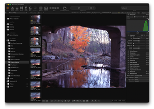 Phocus 4.1.2 Color Preview Bug: A Binary Diff Investigation